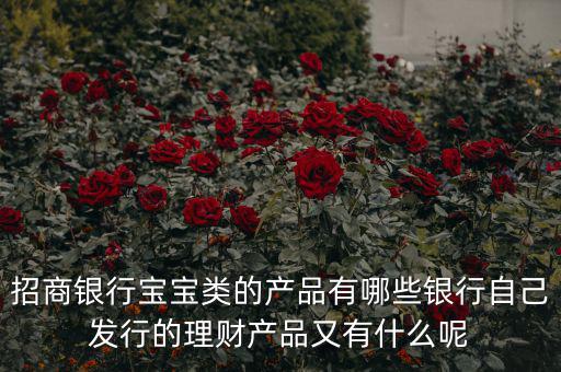 什么是寶寶類產品,招商銀行寶寶類的產品有哪些