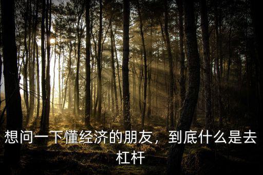 想問一下懂經(jīng)濟(jì)的朋友，到底什么是去杠桿