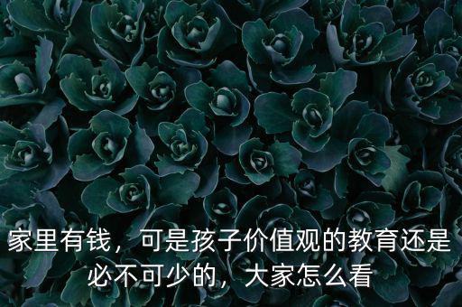 家里有錢(qián)，可是孩子價(jià)值觀的教育還是必不可少的，大家怎么看