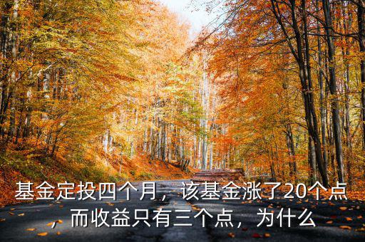 基金定投四個月，該基金漲了20個點，而收益只有三個點，為什么
