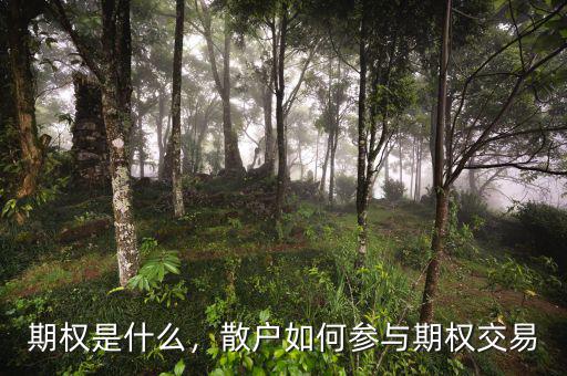 期權(quán)是什么，散戶如何參與期權(quán)交易