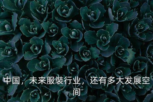 中國，未來服裝行業(yè)，還有多大發(fā)展空間