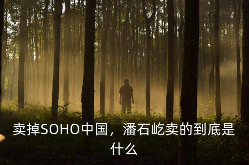 賣掉SOHO中國(guó)，潘石屹賣的到底是什么