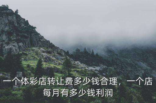 一個體彩店轉(zhuǎn)讓費多少錢合理，一個店每月有多少錢利潤
