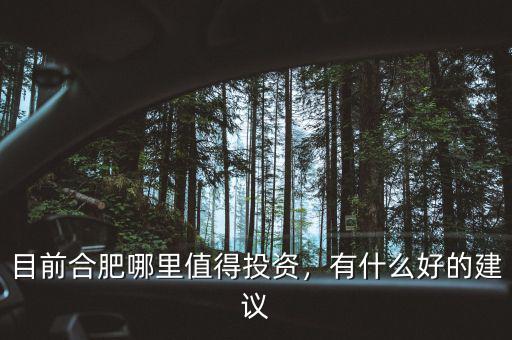 目前合肥哪里值得投資，有什么好的建議