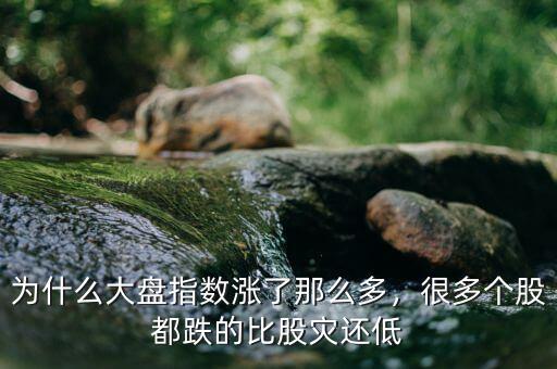 為什么大盤指數(shù)漲了那么多，很多個股都跌的比股災還低