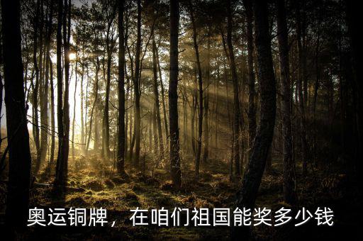 奧運(yùn)銅牌，在咱們祖國(guó)能獎(jiǎng)多少錢