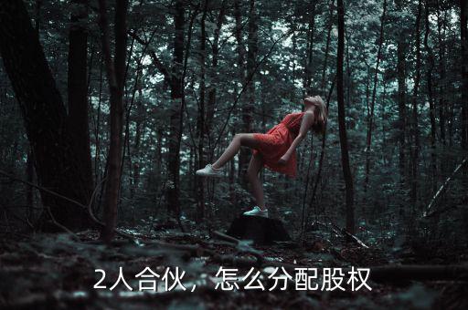 2人合伙，怎么分配股權(quán)