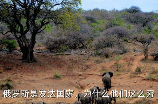 俄羅斯是發(fā)達(dá)國(guó)家，為什么他們這么窮