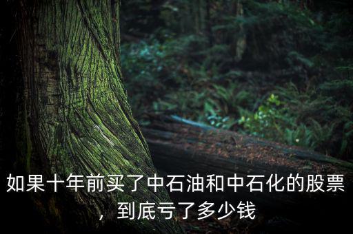 如果十年前買了中石油和中石化的股票，到底虧了多少錢