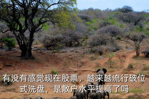 有沒有感覺現(xiàn)在股票，越來越流行破位式洗盤，是散戶水平提高了嗎
