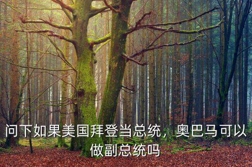問下如果美國拜登當(dāng)總統(tǒng)，奧巴馬可以做副總統(tǒng)嗎