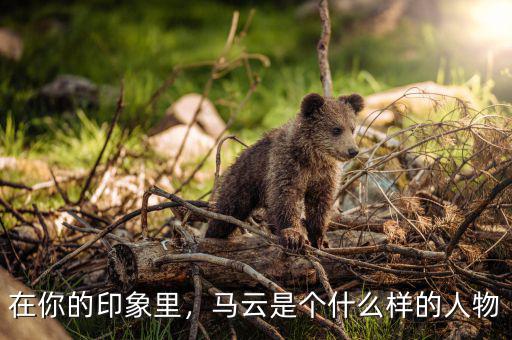 在你的印象里，馬云是個(gè)什么樣的人物