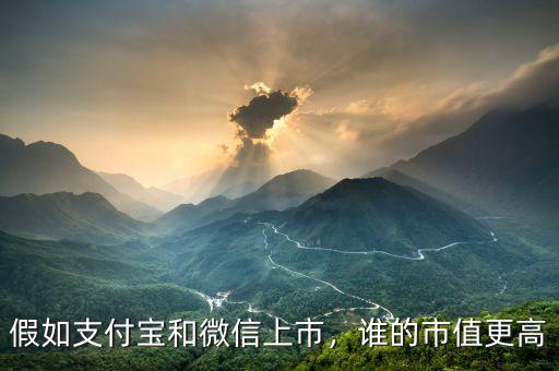 假如支付寶和微信上市，誰的市值更高