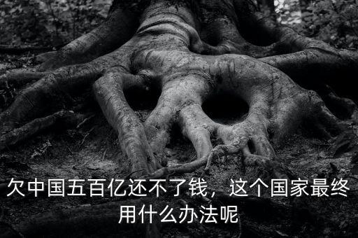 欠中國(guó)五百億還不了錢(qián)，這個(gè)國(guó)家最終用什么辦法呢