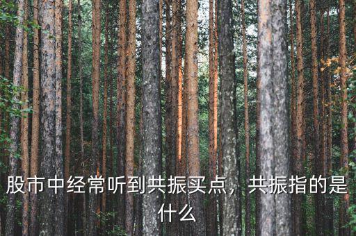 股市中經(jīng)常聽到共振買點，共振指的是什么