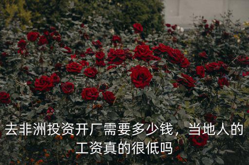 去非洲投資開廠需要多少錢，當?shù)厝说墓べY真的很低嗎