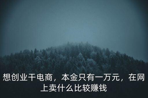想創(chuàng)業(yè)干電商，本金只有一萬元，在網(wǎng)上賣什么比較賺錢