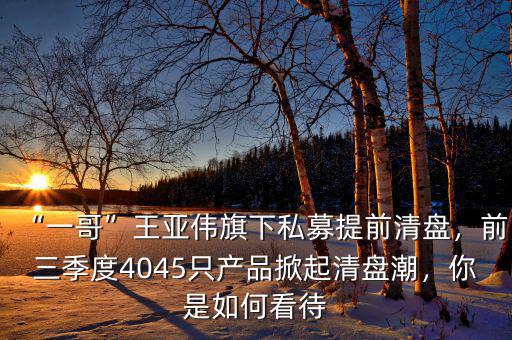 王亞偉私募基金怎么買(mǎi),私募基金怎么買(mǎi)比較安全