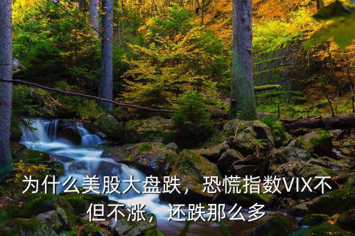 為什么美股大盤跌，恐慌指數(shù)VIX不但不漲，還跌那么多