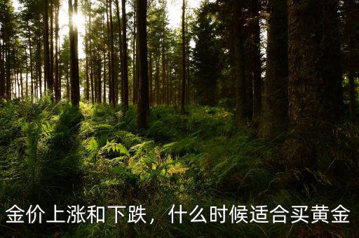 金價(jià)上漲和下跌，什么時(shí)候適合買黃金