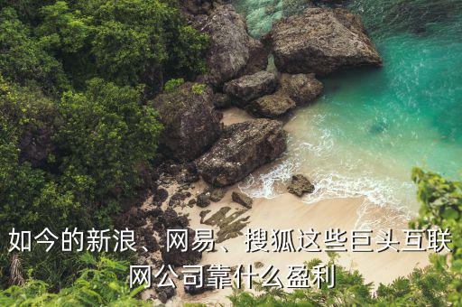 如今的新浪、網(wǎng)易、搜狐這些巨頭互聯(lián)網(wǎng)公司靠什么盈利