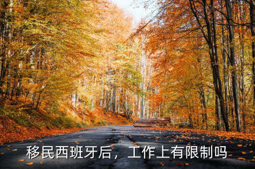 移民西班牙后，工作上有限制嗎