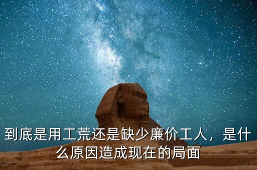 到底是用工荒還是缺少廉價工人，是什么原因造成現(xiàn)在的局面