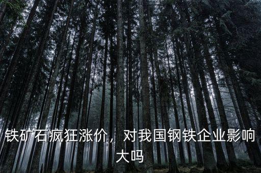 鐵礦石瘋狂漲價(jià)，對我國鋼鐵企業(yè)影響大嗎