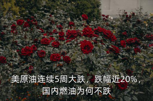 美原油連續(xù)5周大跌，跌幅近20%，國內(nèi)燃油為何不跌