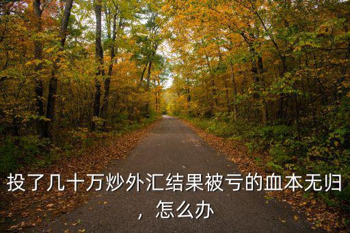 投了幾十萬(wàn)炒外匯結(jié)果被虧的血本無(wú)歸，怎么辦