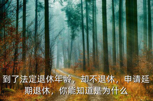 到了法定退休年齡，卻不退休，申請(qǐng)延期退休，你能知道是為什么