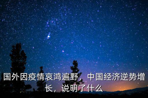 國(guó)外因疫情哀鴻遍野，中國(guó)經(jīng)濟(jì)逆勢(shì)增長(zhǎng)，說(shuō)明了什么