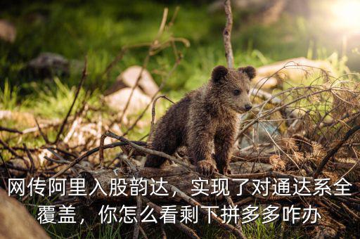 網(wǎng)傳阿里入股韻達，實現(xiàn)了對通達系全覆蓋，你怎么看剩下拼多多咋辦