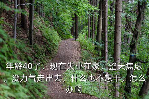 年齡40了，現(xiàn)在失業(yè)在家，整天焦慮，沒力氣走出去，什么也不想干，怎么辦啊