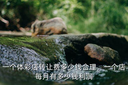 一個體彩店轉(zhuǎn)讓費多少錢合理，一個店每月有多少錢利潤