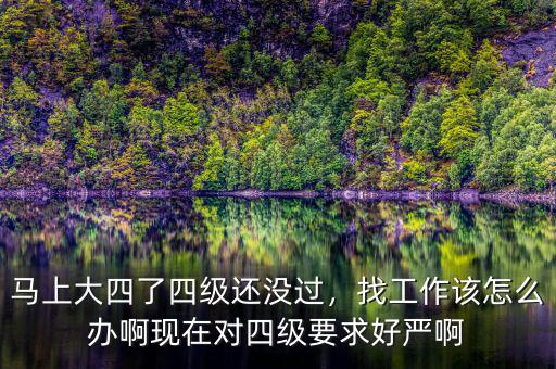 馬上大四了四級還沒過，找工作該怎么辦啊現(xiàn)在對四級要求好嚴啊