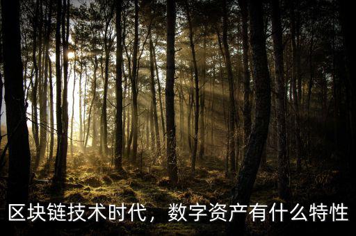 區(qū)塊鏈技術(shù)時(shí)代，數(shù)字資產(chǎn)有什么特性