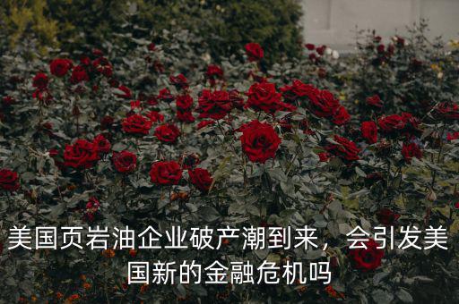 美國頁巖油企業(yè)破產(chǎn)潮到來，會引發(fā)美國新的金融危機(jī)嗎
