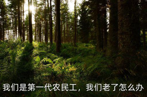 我們是第一代農(nóng)民工，我們老了怎么辦