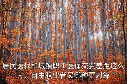 居民醫(yī)保和城鎮(zhèn)職工醫(yī)保交費差距這么大，自由職業(yè)者買哪種更劃算