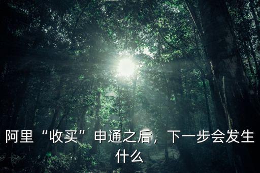 阿里“收買”申通之后，下一步會(huì)發(fā)生什么