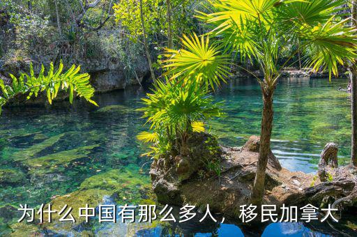 為什么中國有那么多人，移民加拿大