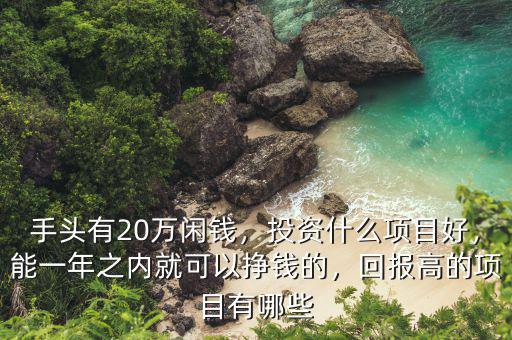 手頭有20萬閑錢，投資什么項目好，能一年之內(nèi)就可以掙錢的，回報高的項目有哪些
