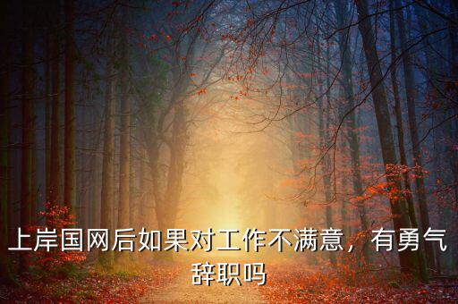 上岸國網(wǎng)后如果對工作不滿意，有勇氣辭職嗎