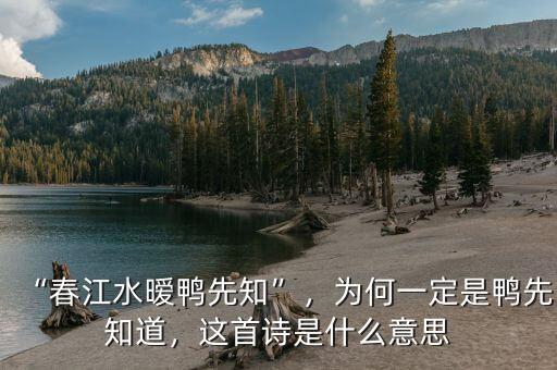 “春江水曖鴨先知”，為何一定是鴨先知道，這首詩是什么意思