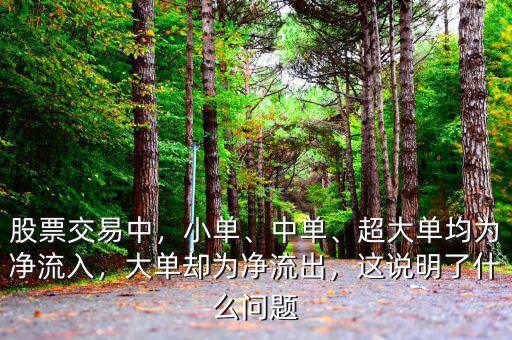 股票交易中，小單、中單、超大單均為凈流入，大單卻為凈流出，這說明了什么問題