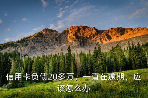 信用卡負(fù)債20多萬，一直在逾期，應(yīng)該怎么辦