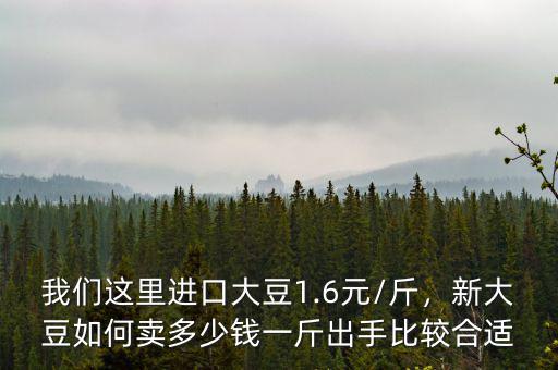 我們這里進(jìn)口大豆1.6元/斤，新大豆如何賣(mài)多少錢(qián)一斤出手比較合適