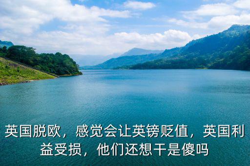 英國(guó)脫歐，感覺(jué)會(huì)讓英鎊貶值，英國(guó)利益受損，他們還想干是傻嗎